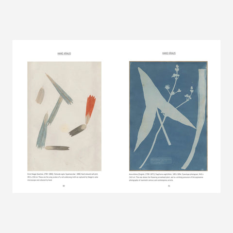 pages from the art book Seeing Things: The Small Wonders of the World According to Writers, Artists and Others