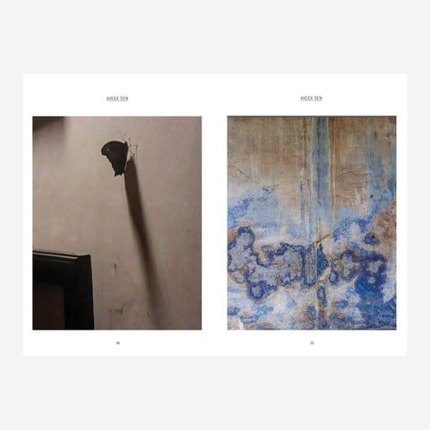 pages from the art book Seeing Things: The Small Wonders of the World According to Writers, Artists and Others showing a butterfly on a wall and colorful stains and marking on another wall