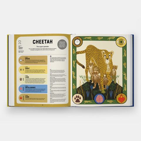 Super Powered Animals book spread showing diagrams and illustration of a Cheetah