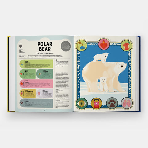Super Powered Animals book spread showing diagrams and illustration of a Polar Bear