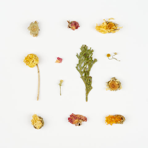 an organized arrangement of pieces of dried flowers with white space around each piece